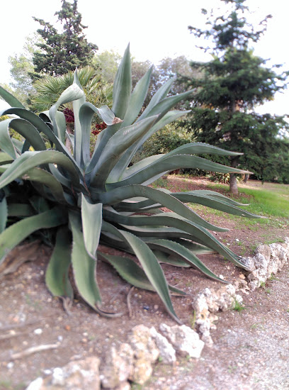 Finca Valldosera S.A.