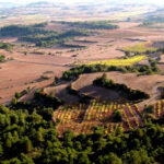 Bodega CARA NORD CELLER SL