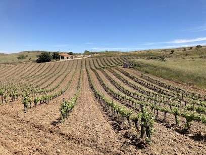 Bodega Viña Bardela