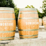 Ruta del Vino Somontano (Barbastro) Ruta del Vino Somontano