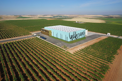 Bodega Grupo Valdecuevas Rueda