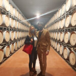 Bodegas Navajas (Navarrete) Bodegas Navajas