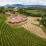 Bodegas Itsasmendi (Guernica) Bodegas Itsasmendi