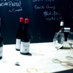 Bodegas y Viñedos Ponce S.L.