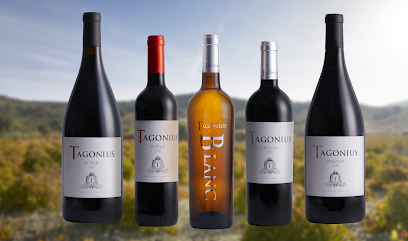 Foto Bodegas Tagonius