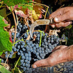 Bodega Inurrieta
