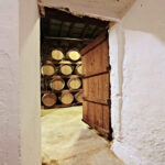Bodega Ribas