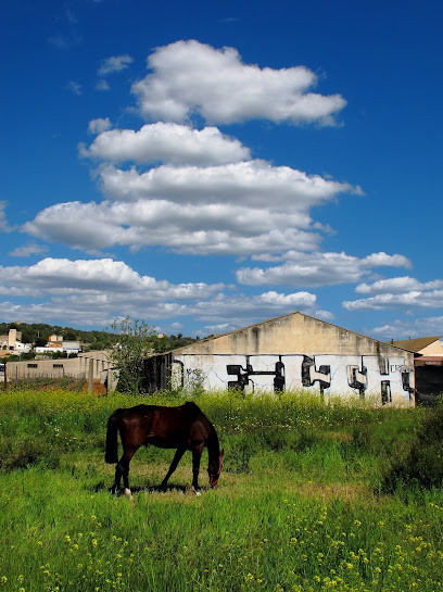 Armero Adrover Vinicultores