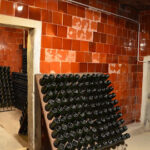 Bodega de Vino y Cava Vives Ambrós (Montferri) Bodega de Vino y Cava Vives Ambrós