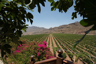 Foto Bodegas Tunte