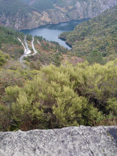 Foto Bodega Marcelino I Amandi