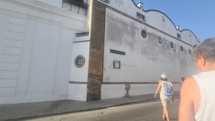 Foto Bodega Manzanilla Solear Barbadillo