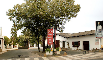 Foto Hijos de Pablo Esparza Bodegas Navarras