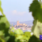 Bodega Las Virtudes (Villena) Bodega Las Virtudes