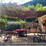 Bodega Son Vives