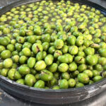Bodegas Bonilla Y Aceitunas La Aguilareña (Aguilar de la Frontera) Bodegas Bonilla Y Aceitunas La Aguilareña
