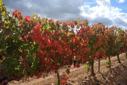 LOESS - Ribera del Duero