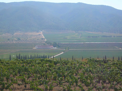 Foto Sociedad Agrícola Viñavista SLU