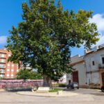 Cheste Agraria - Bodega (Cheste) Cheste Agraria - Bodega