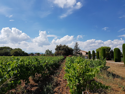 Vinyes Singulars
