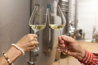 Foto Eladio Piñeiro Rural Wines - Enoturismo