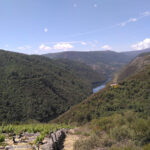 Bodegas Petrón