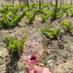 Bodegas Bhilar /DSG wines (Bilar) Bodegas Bhilar /DSG wines