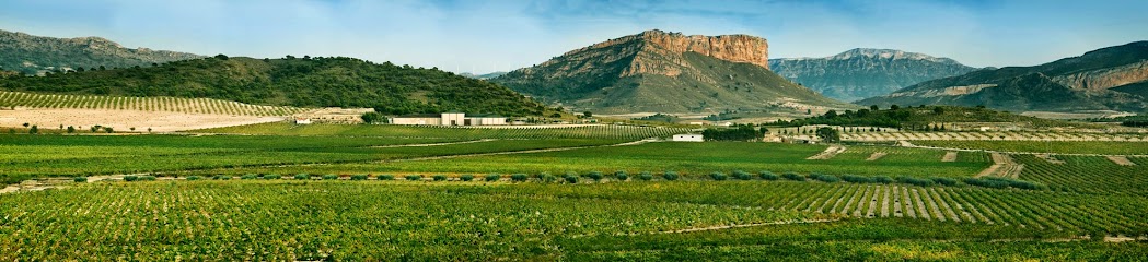 Foto Bodegas Hijos de Juan Gil