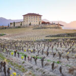 Bodega Hacienda López de Haro (San Vicente de la Sonsierra) Bodega Hacienda López de Haro